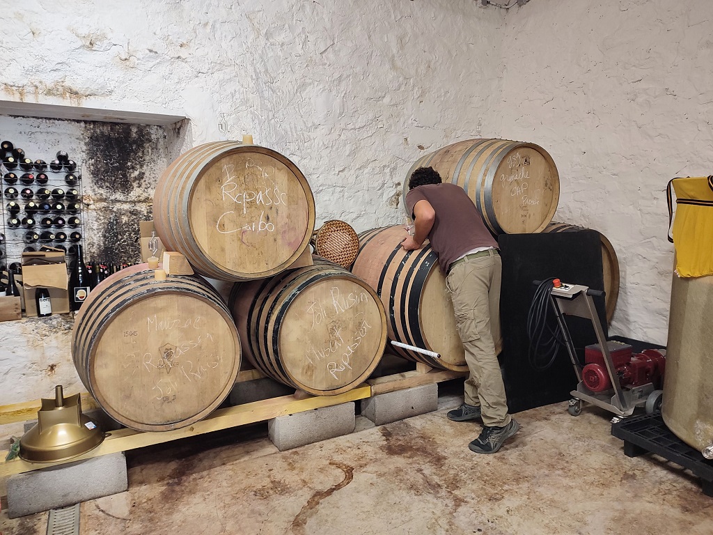 Dégustation chez Marius Long dans les Corbières